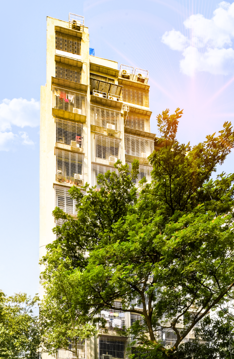 MORYA-FORTUNE-Large ()